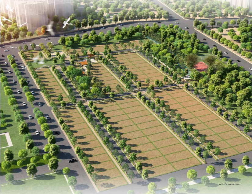 Plotting & Land Development